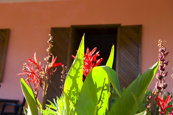B&B NiloSira, nel cuore del Salento